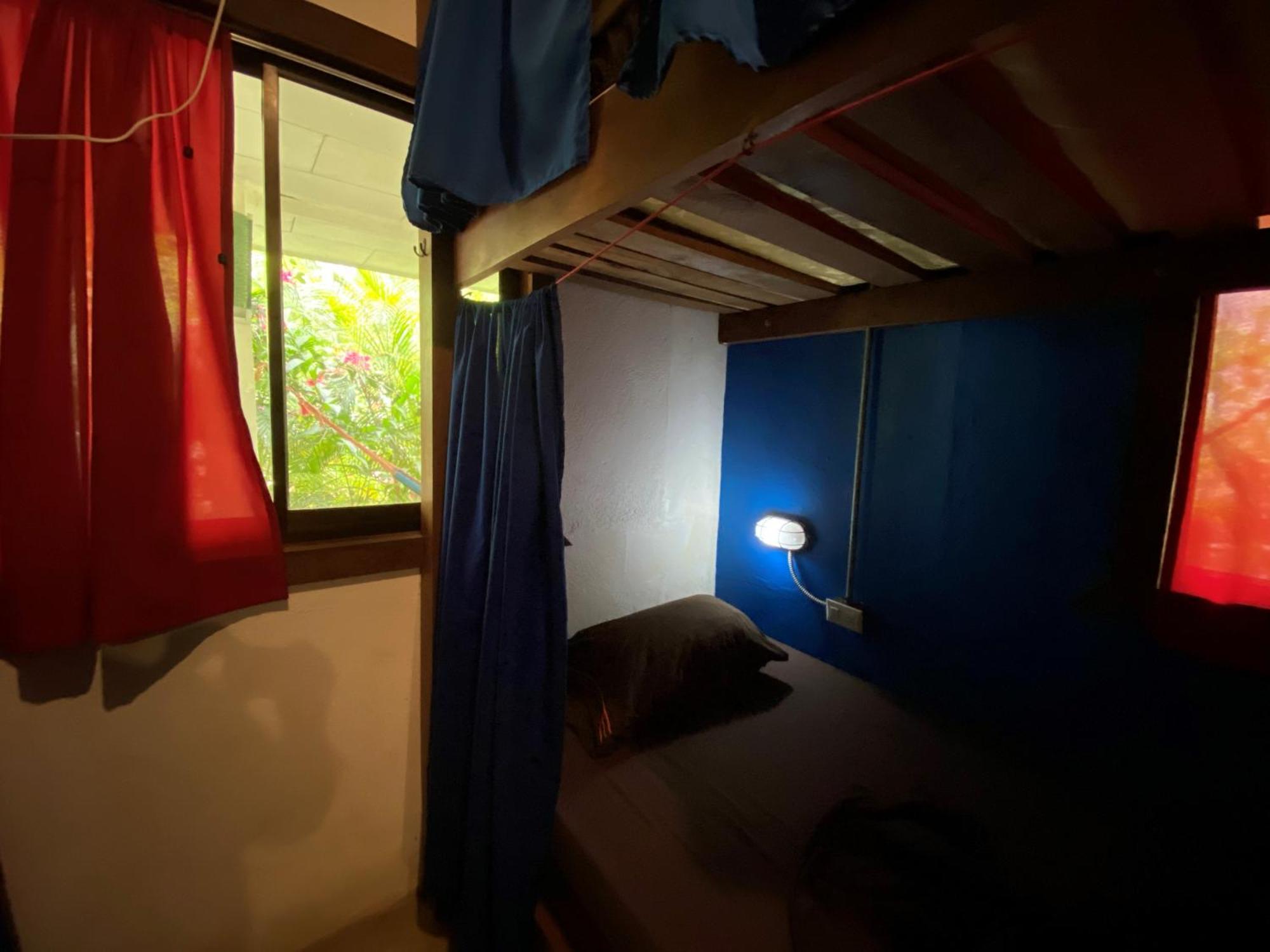 Playa 506 Beachfront Hostel Puerto Viejo de Talamanca Room photo